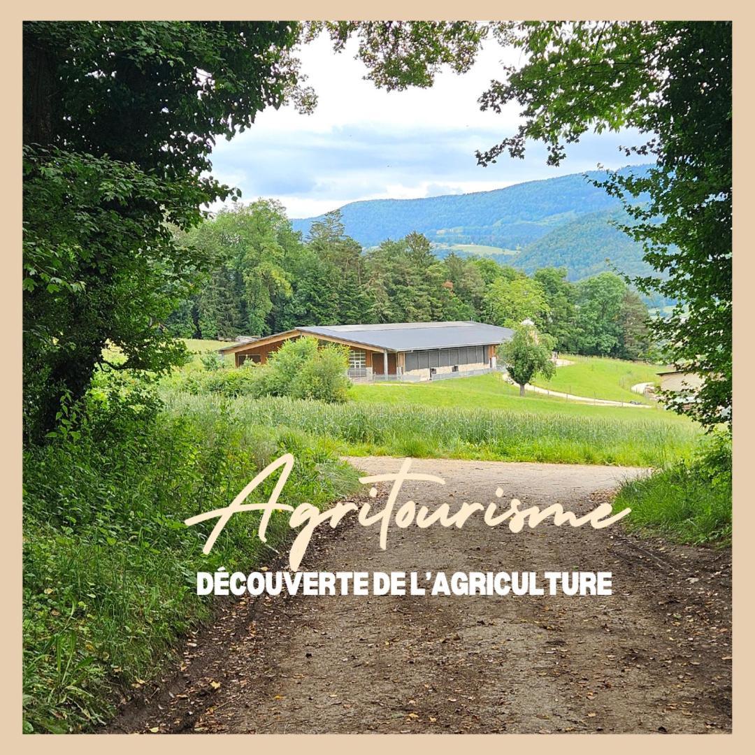Apartamento La Ferme Du Solvat Courcelon Exterior foto